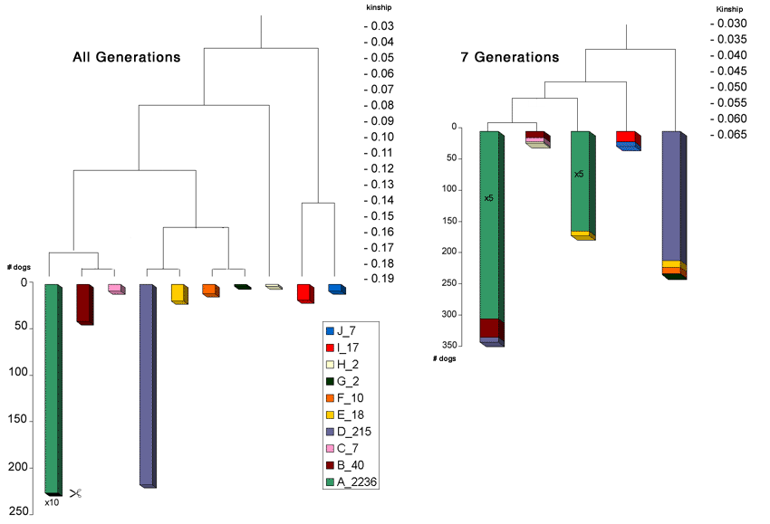 Cluster analysis of the same population based on kinship calculated from all generations compared with kinship calculated for 7 generations.<br/> <b>The most important thing to notice: with an incomplete dataset, the ‘image’ looks completely different.</b>