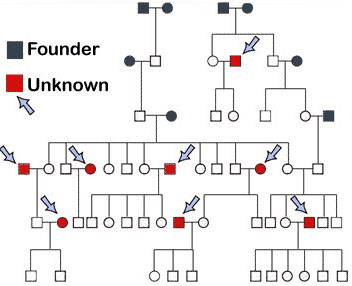 Pedigree chart with unknown parents that should be categorise